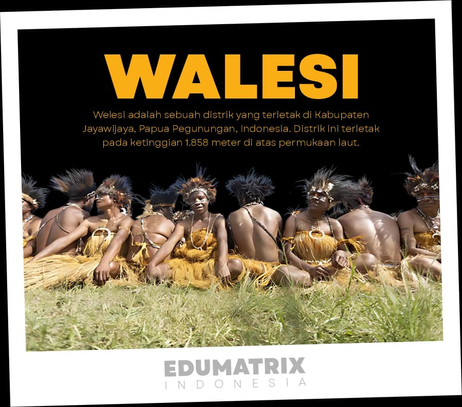 Les privat OSN di Walesi